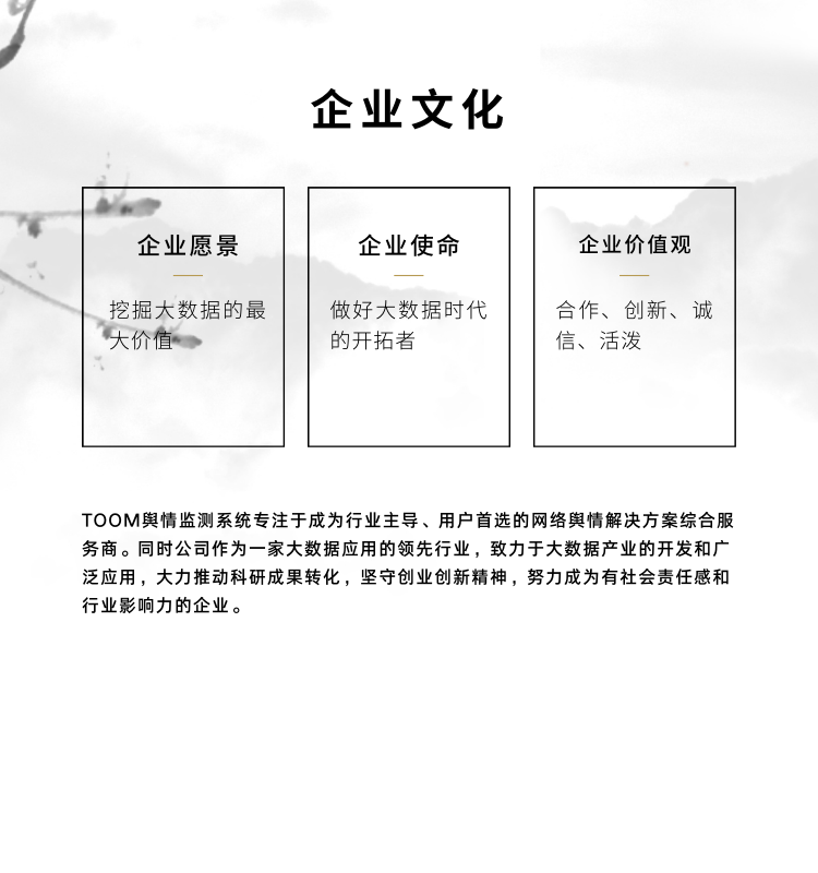 TOOM舆情监控企业文化