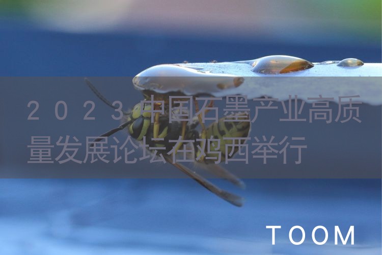 2023中国石墨产业高质量发展论坛在鸡西举行