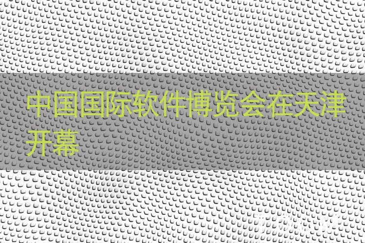 中国国际软件博览会在天津开幕